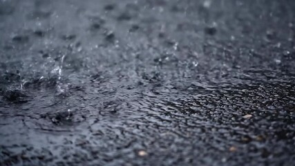 Wall Mural - Close-up of heavy raindrops splashing intensely onto a dark, wet asphalt surface during a downpour atmospheric, asphalt, detail