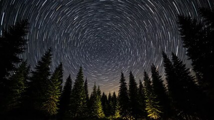 Wall Mural - Breathtaking star trail timelapse over a dark, tranquil forest, showing the celestial rotation above the peaceful trees meditation, astronomy, cosmos