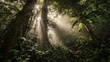 © JIALU - Dense rainforest with sunlight streaming through tall trees and mist rising from ground, lush green vegetation symbolizing natural beauty and environmental conservation