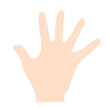 © Corner Pixel - Illustration of Open Hand with Five Fingers
