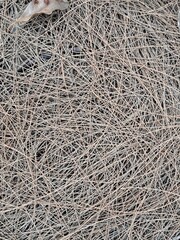 close up of a wire