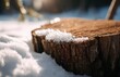 © yevgeniya131988 - Tree stump displaying melted snow and glittering ice in winter sunlight