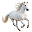 © Khuki - horse isolated on white background, A magnificent white horse galloping freely on a white background in a dynamic composition