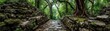 © PBMasterDesign - Ancient overgrown mayan temple ruins in jungle concept. A serene pathway through a lush green forest with ancient stones.
