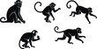 © Heyy - PrintMonkey silhouette collection, animal poses, wildlife illustration, primate behavior, black outline art, jungle theme, educational design, vector graphic, nature concept, isolated background