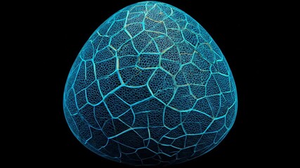 Blue, egg-shaped, cellular structure with an intricate pattern against a black background