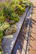 © Brebca - Small waterway along the walkway with plants in a city, promoting biodiversity
