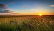 © Paris - This Warm Sunset On The Grassy Tallgrass Prairie Of Kansas And The Maxwell Wilflife Refuge Illustrates The Quiet And Spaciousness Of The Open Prairie