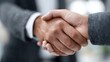 © Thares2020 - Two professionals in suits shake hands symbolizing a business agreement and partnership