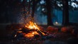 © MD JAHIRUL ISLAM - Campfire flames burning in a forest night, warm cozy atmosphere, detailed sparks and glowing wood, natural fire background1