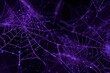 © Thomas - Abstract purple spider web glowing lines digital dark background Halloween design