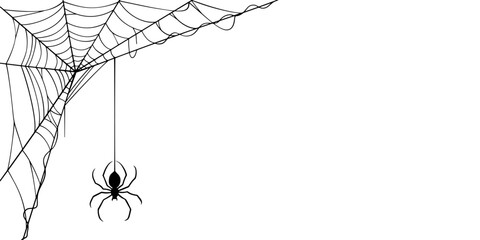 Sticker - spider and cobweb vector illustration on transparent background