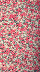 Wall Mural - patterns scattered across a light background with soft pastel hues evoking a gentle and romantic atmosphere for invitations and designs