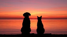 猫のシルエット ピンクの夕日 無料画像 - Public Domain Pictures