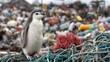 © Oleksandr - A young penguin stands amidst a landscape of discarded ropes and plastic, a stark reminder of environmental pollution's impact on wildlife habitats.