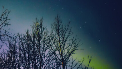 Wall Mural - Aurora borealis, polar lights with Milky Way stars.