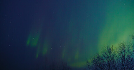 Wall Mural - Aurora borealis, polar lights with Milky Way stars.