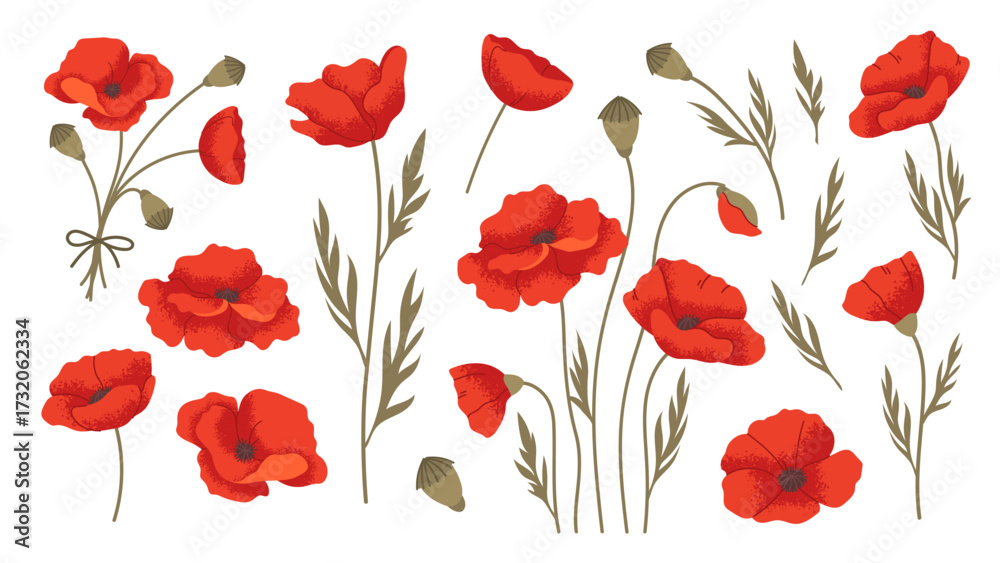 Vector de Stock Red poppy flowers. Set of flat poppies on white ...