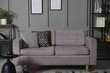 © New Africa - Soft sofa, side table and shelving unit near grey wall in living room. Interior design