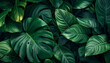 © yoga - Close-up tropical leaves background, lush green foliage, detailed texture, natural palm