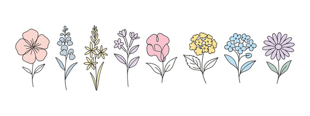 Doodle flowers. Minimalist Pastel Doodle Flowers
