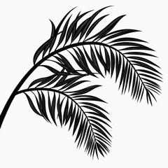 palm tree silhouette