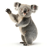 A koala standing on a white background waving its paw and looking at the camera with a happy expression