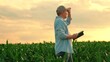 © Victoriia - Farmer businessman working in corn field with digital tablet, agriculture. Farmer with computer tablet evaluates green corn shoots in field at sunset. Organic grain. Technology, agricultural business.