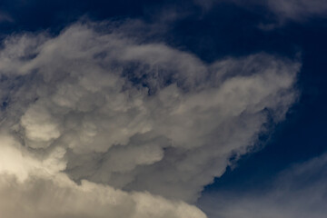 Wall Mural - Clouds in the blue sky before a thunderstorm. Toned.