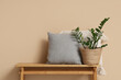 © Pixel-Shot - Bench with cushions and houseplant near beige wall in room