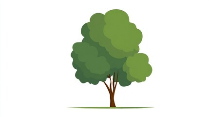 Illustration of a tree with a brown trunk and green leaves on a white background.