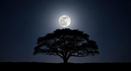 Wall Mural - A solitary tree stands against a starry night sky, with the full moon illuminating its silhouette.