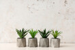 © Pixel-Shot - Artificial succulent plants on table near white grunge wall