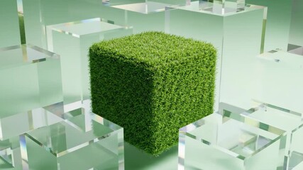 Green Cube in Clear Glass: Abstract Sustainability Concept