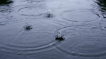 Wall Mural - Raindrops impacting a still body of water, generating delicate, expanding circles, captured with a high-angle, locked-off shot and soft light atmospheric, soft light, calmness