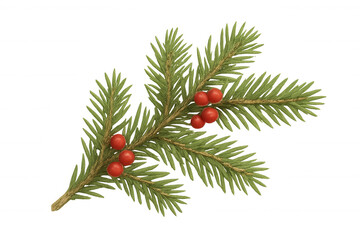 Wall Mural - Christmas fir tree branch with red berries on transparent background, symbolizing holiday season and winter celebration