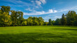© fwetr - Green park with trees and blue sky