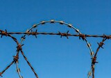 Sharp, rusty barbed wire fencing against a clear blue sky, symbolizing protection, security, and confinement.