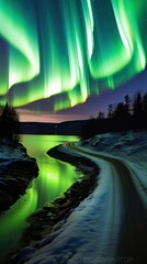 Wall Mural - Green wallpaper outdoors nature night.