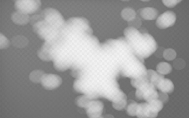 Wall Mural - shadow overlay abstract dappled light on a transparent background.