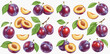© studio - Illustration of plums, whole and sliced, with leaves, on a transparent background.