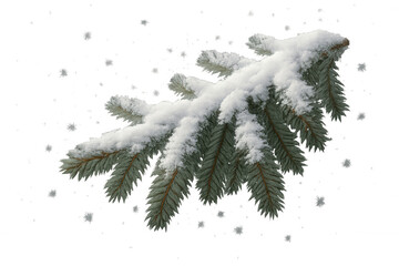 Wall Mural - Pine branch covered with fresh snow, creating a winter holiday outdoor scene, transparent background