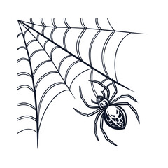 Detailed illustration of a spider patiently waiting on its intricate web in a corner
