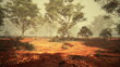 © icetray - tranquil beauty of an expansive dirt field, adorned with a breathtaking eucalyptus grove nestled amidst natures embrace.