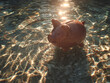 © Kowit - A piggy bank floats on shimmering water, reflecting light, symbolizing saving and financial growth in a serene environment.