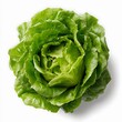© Design Stock  - Fresh green butter lettuce head with vibrant leaves isolated on white background