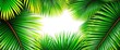© Phitchaya - Tropical palm leaves arranged in a natural frame, showcasing vibrant green foliage,   foliage frame,  plant