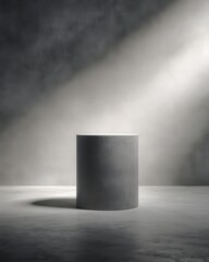 Wall Mural - Smooth Gray Cylinder Podium in Minimalist Space with Dramatic Lighting