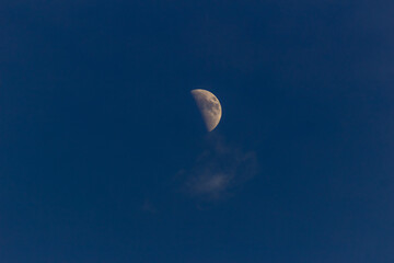Wall Mural - Moon in the blue sky with white clouds, 