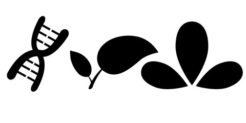 Black and white butterfly vector illustration with a floral silhouette design for a nature logo or icon